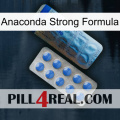 Anaconda Strong Formula 40